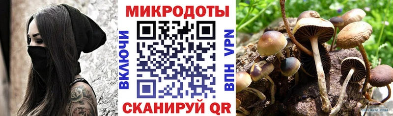 Псилоцибиновые грибы Cubensis  Архангельск 